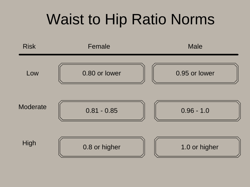 waist hip ratio